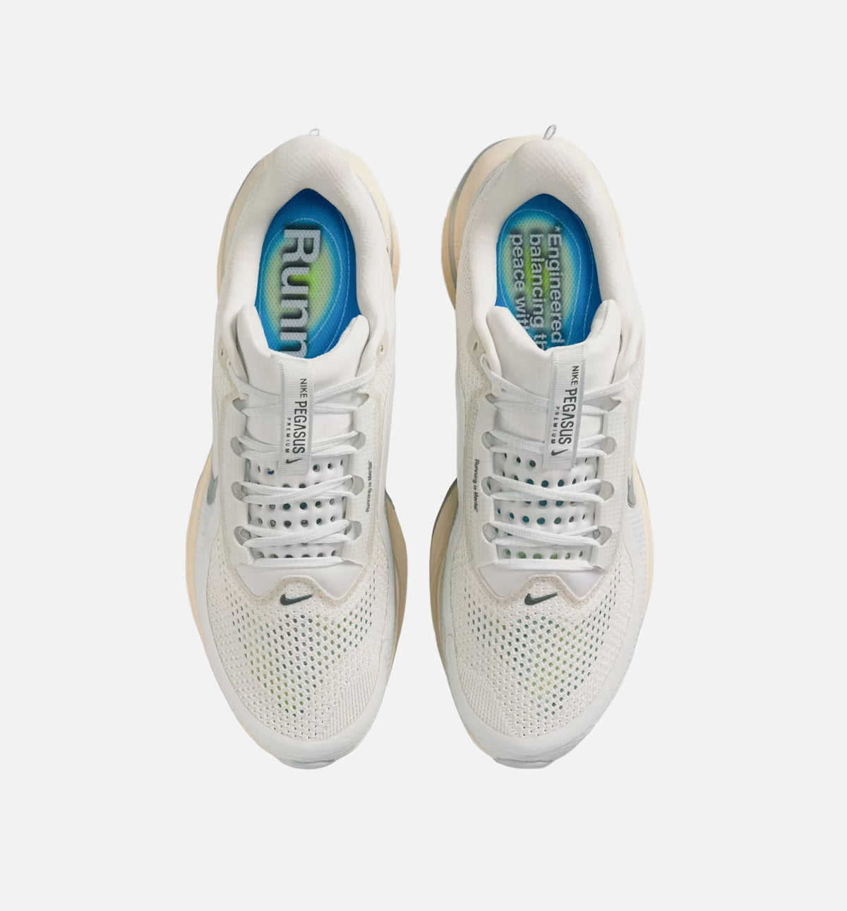 Nike Pegasus Premium Men's Shoes - Grey/Silver